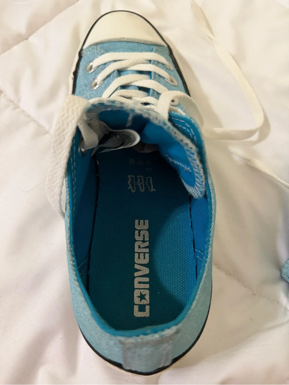 Converse Chuck Taylor All-Star Low Top Sneakers in Light Blue - Picture 5 of 8